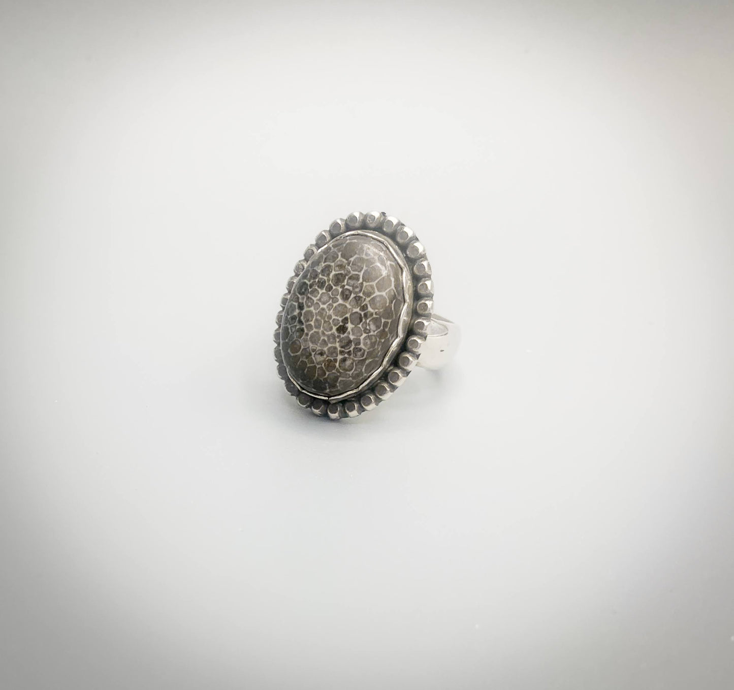 Dinosaur Bone Fossil Ring