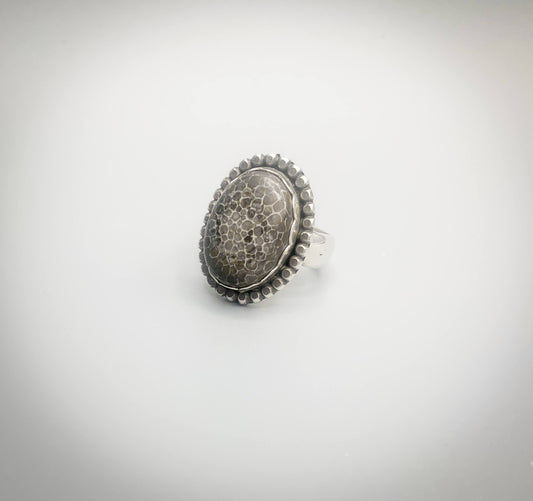 Dinosaur Bone Fossil Ring